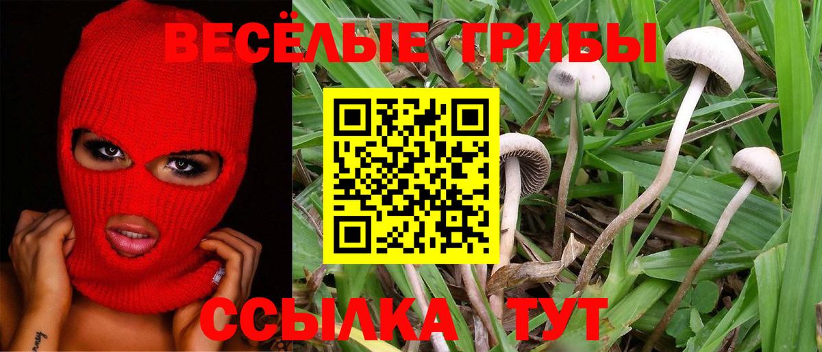 Галлюциногенные грибы ЛСД Нерюнгри