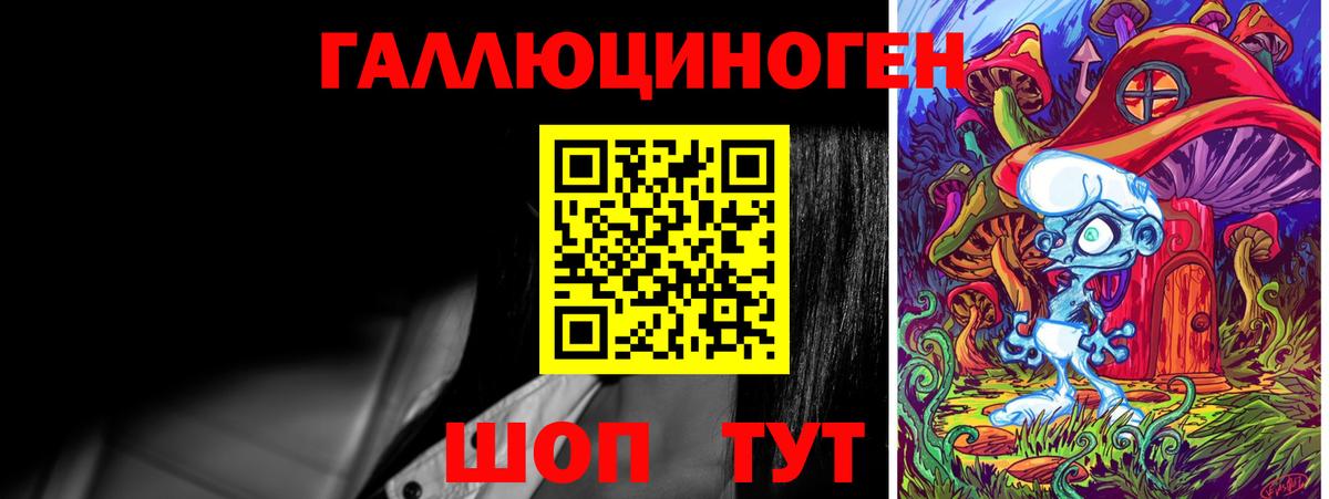 Нерюнгри  Псилоцибиновые грибы Psilocybe  Вход с VPN 